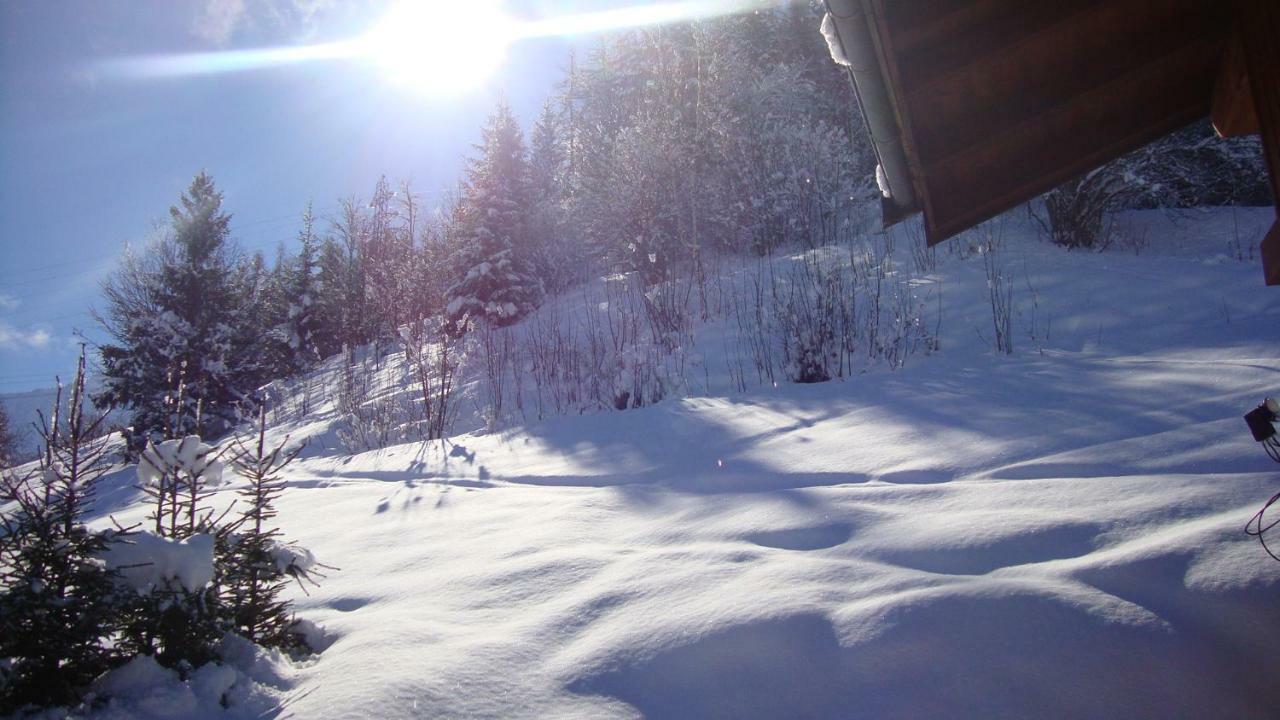 Chalet Miravidi, Montchavin-La Plagne, Jacuzzi & Sauna Eksteriør bilde
